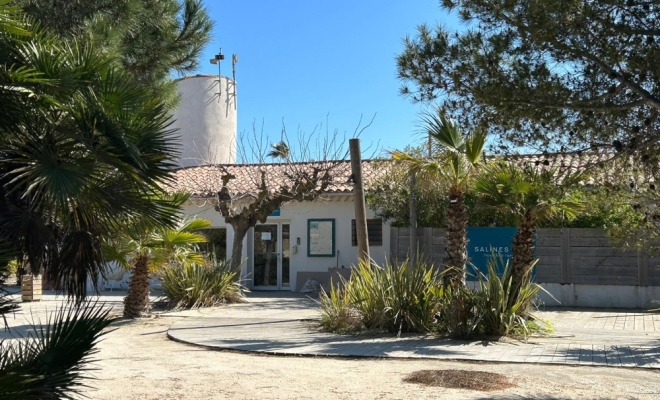 image de l'entrée du camping, sous les pins, ciel bleu